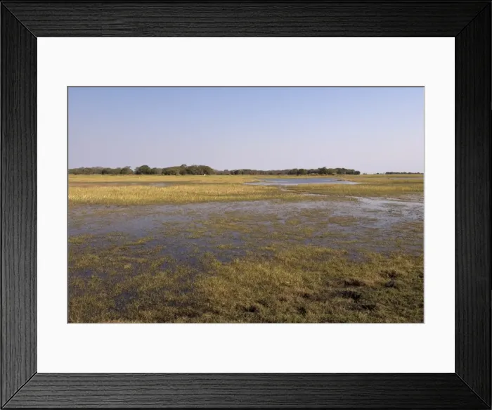 Framed Print : Busanga Plains, Kafue National Park, Zambia, Africa Framed Print : Busanga Plains, Kafue National Park, Zambia, Africa