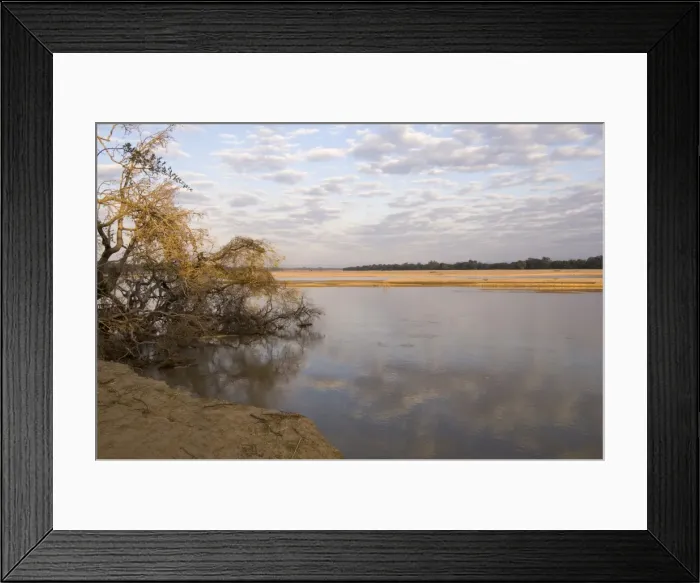 Framed Print : Luangwa River, South Luangwa National Park, Zambia, Africa Framed Print : Luangwa River, South Luangwa National Park, Zambia, Africa