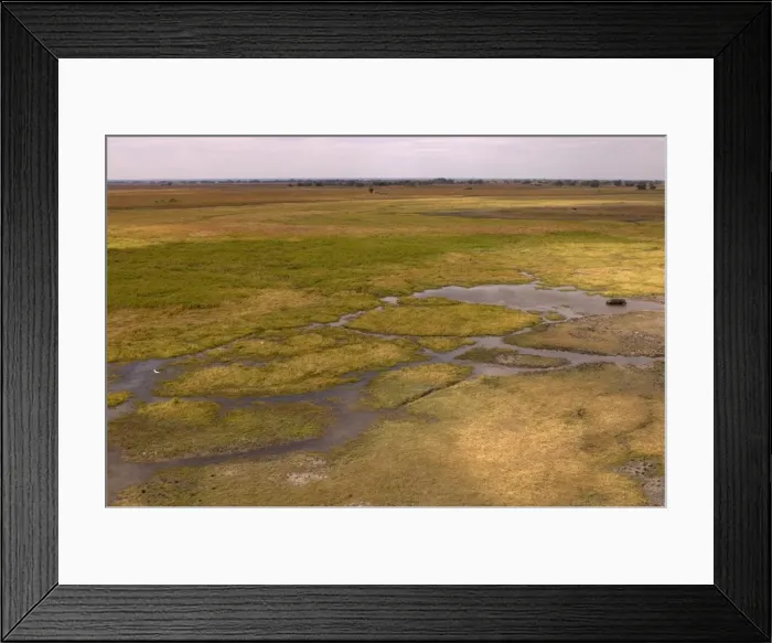 Framed Print : Helicopter flight over Busanga Plains, Kafue National Park, Zambia, Africa Framed Print : Helicopter flight over Busanga Plains, Kafue National Park, Zambia, Africa