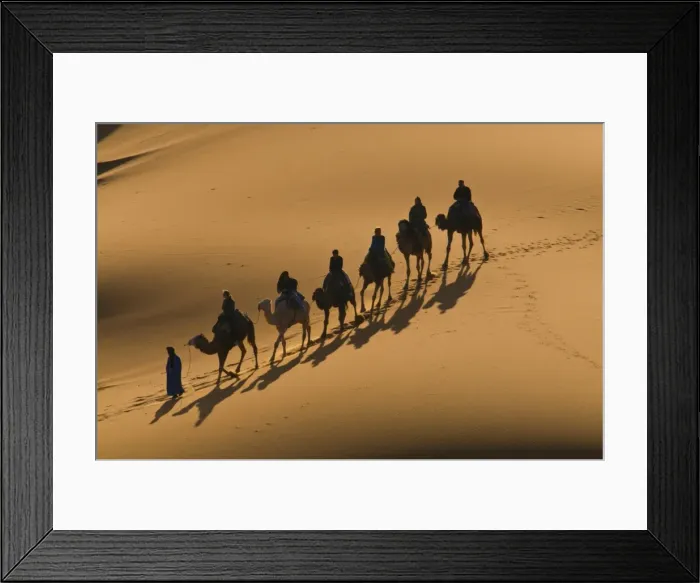Framed Print : Camel caravan riding through the sand dunes of Merzouga, Morocco, North Africa, Africa Framed Print : Camel caravan riding through the sand dunes of Merzouga, Morocco, North Africa, Africa