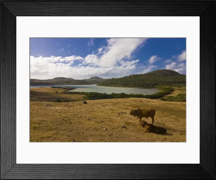 Framed Print : The island of Rodrigues, Mauritius, Indian Ocean, Africa Framed Print : The island of Rodrigues, Mauritius, Indian Ocean, Africa
