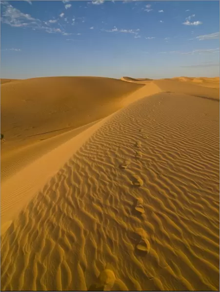 Footsteps in sand dunes at sunset, near Chinguetti, Mauritania, Africa