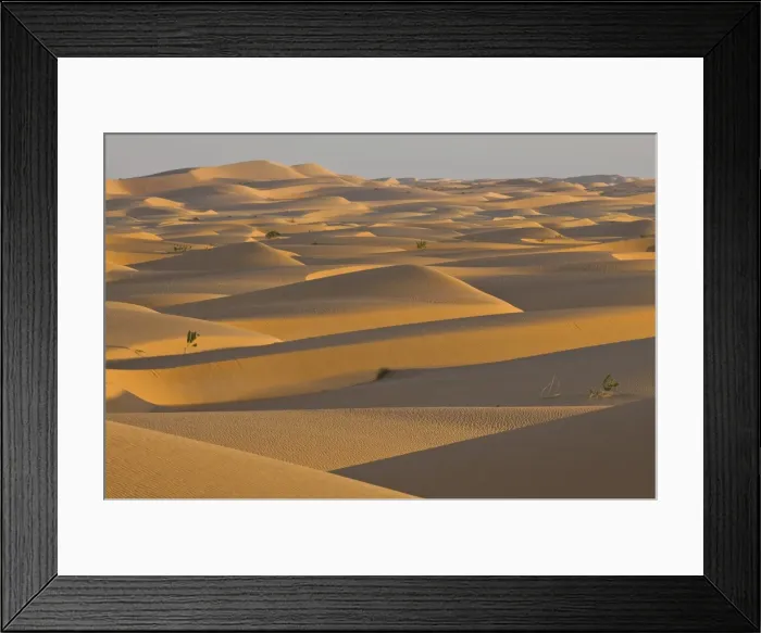 Framed Print : Sand dunes at sunset, near Chinguetti, Mauritania, Africa Framed Print : Sand dunes at sunset, near Chinguetti, Mauritania, Africa