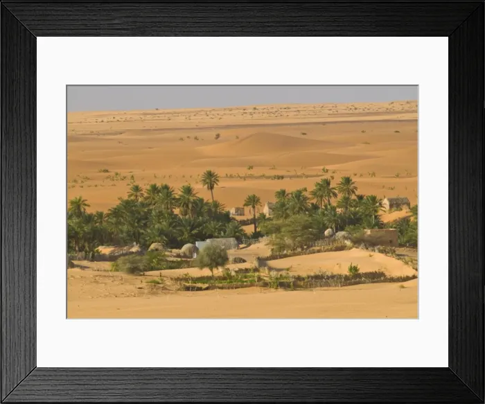 Framed Print : Little oasis between sand dunes at sunset, near Chinguetti, Mauritania, Africa Framed Print : Little oasis between sand dunes at sunset, near Chinguetti, Mauritania, Africa