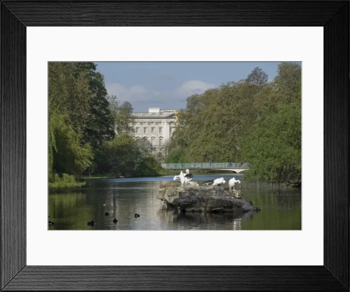 Framed Print : St. Jamess Park lake from Pelican Rock to Buckingham Palace, London Framed Print : St. Jamess Park lake from Pelican Rock to Buckingham Palace, London