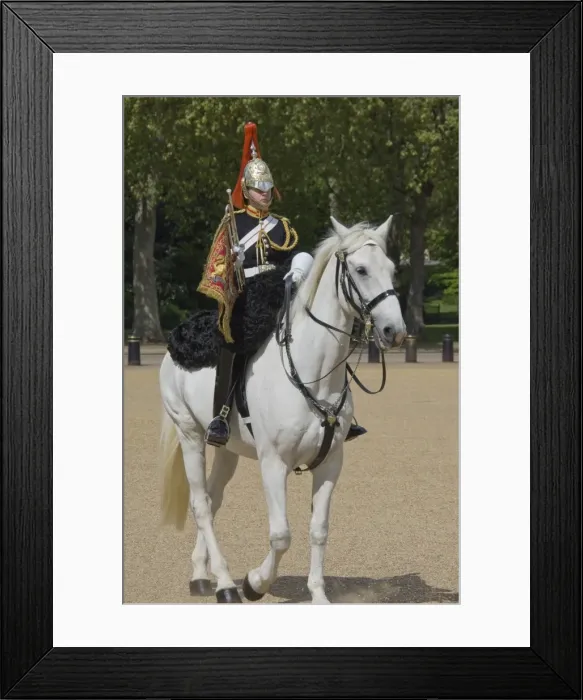 Framed Print : The Trumpeter of the Horse Guards, Horse Guards Parade, London, England Framed Print : The Trumpeter of the Horse Guards, Horse Guards Parade, London, England