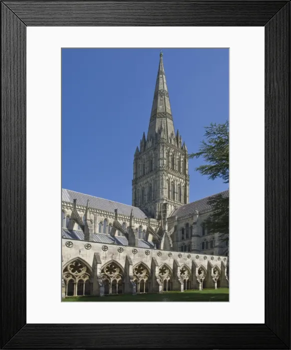 Framed Print : Salisbury Cathedral, Wiltshire, England, United Kingdom, Europe