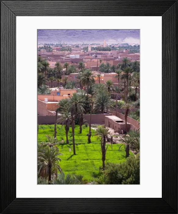 Framed Print : Lower level farming, date palm oasis, Figuig, province of Figuig, Oriental Region Framed Print : Lower level farming, date palm oasis, Figuig, province of Figuig, Oriental Region