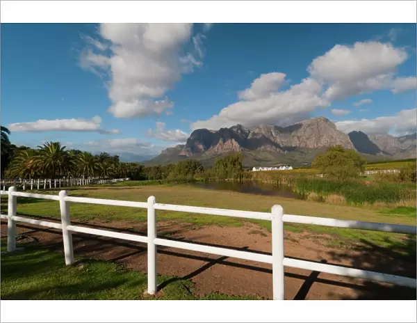 Zorgvliet Wine Estate, Stellenbosch, Cape Province, South Africa, Africa