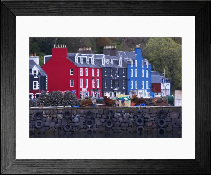 Framed Print : Brightly coloured houses at the fishing port of Tobermory, Isle of Mull Framed Print : Brightly coloured houses at the fishing port of Tobermory, Isle of Mull