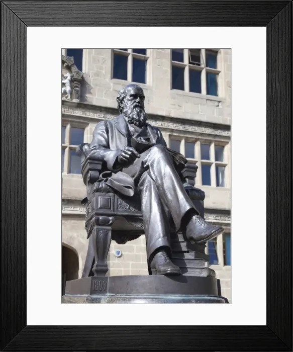 Framed Print : Statue of Charles Darwin outside Public Library, Shrewsbury, Shropshire Framed Print : Statue of Charles Darwin outside Public Library, Shrewsbury, Shropshire