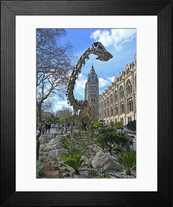 Framed Print : Natural History Museum, London, United Kingdom