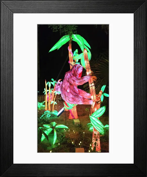 Framed Print : Asian Lantern Festival, Central Florida Zoo, United States of America Framed Print : Asian Lantern Festival, Central Florida Zoo, United States of America
