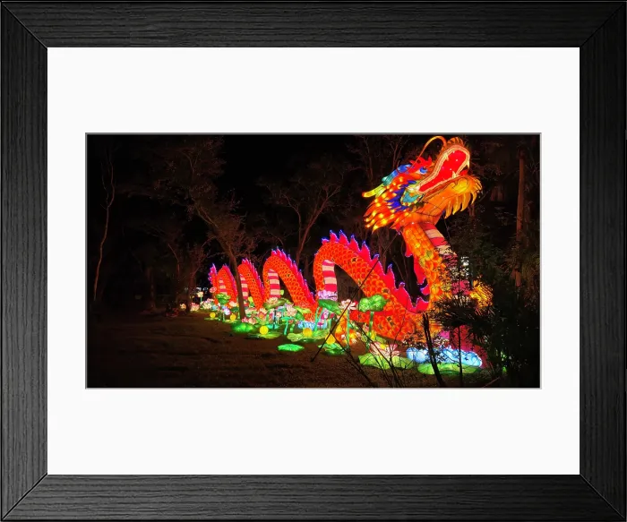 Framed Print : Asian Lantern Festival, Central Florida Zoo, United States of America Framed Print : Asian Lantern Festival, Central Florida Zoo, United States of America