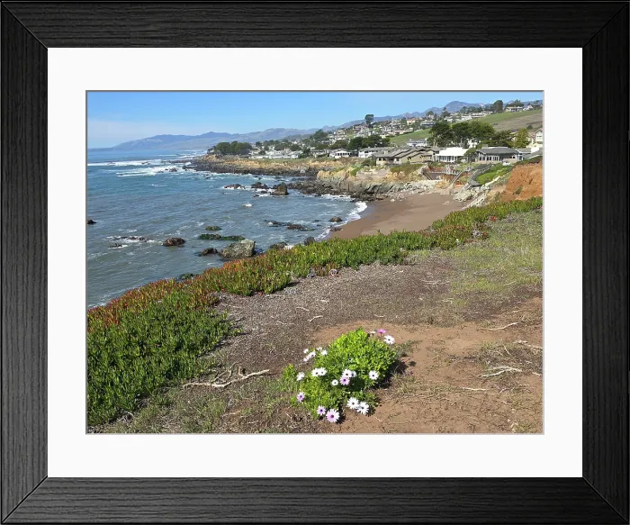 Framed Print : Bluff Walk, United States of America Framed Print : Bluff Walk, United States of America