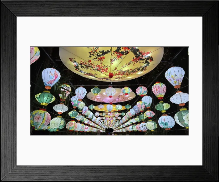 Framed Print : Asian Lantern Festival, Central Florida Zoo, United States of America Framed Print : Asian Lantern Festival, Central Florida Zoo, United States of America