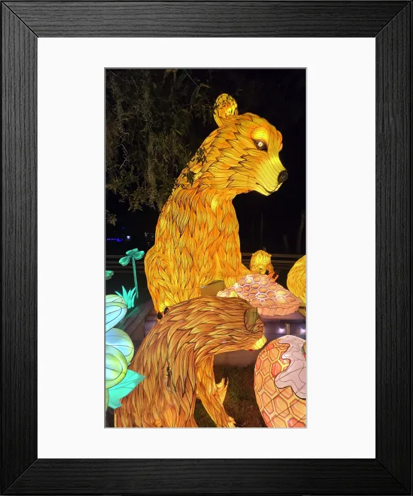 Framed Print : Asian Lantern Festival, Central Florida Zoo, United States of America Framed Print : Asian Lantern Festival, Central Florida Zoo, United States of America