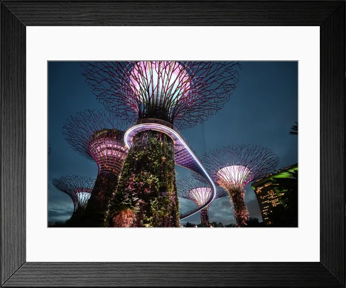 Framed Print : Super Trees in Gardens by the Bay, Singapore Framed Print : Super Trees in Gardens by the Bay, Singapore