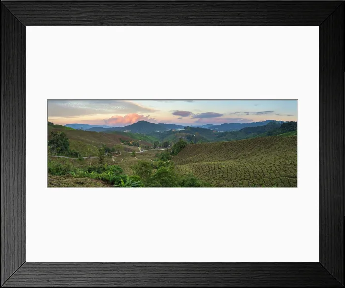 Framed Print : BOH Sungai Palas tea plantation at sunset, Cameron Highlands, Pahang, Malaysia Framed Print : BOH Sungai Palas tea plantation at sunset, Cameron Highlands, Pahang, Malaysia