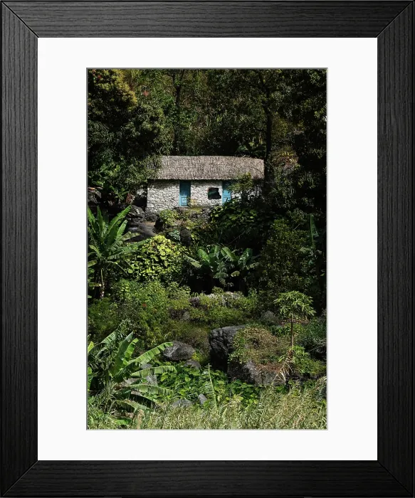 Framed Print : Scenery in the lush oasis of the Paul Valley, northern Saint Anthony, Cape Verde Framed Print : Scenery in the lush oasis of the Paul Valley, northern Saint Anthony, Cape Verde