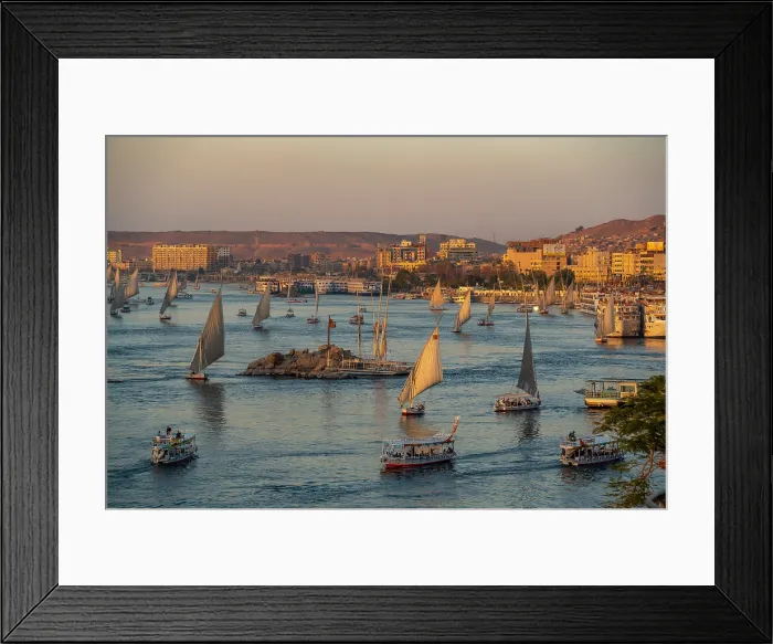 Framed Print : View of fellucas on the Nile river from Feryal Garden during golden hour, Aswan, Nubia, Egypt, North Africa, Africa Framed Print : View of fellucas on the Nile river from Feryal Garden during golden hour, Aswan, Nubia, Egypt, North Africa, Africa