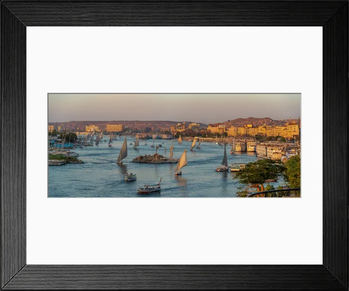 Framed Print : View of fellucas on the Nile river from Feryal Garden during golden hour, Aswan, Nubia, Egypt, North Africa, Africa Framed Print : View of fellucas on the Nile river from Feryal Garden during golden hour, Aswan, Nubia, Egypt, North Africa, Africa