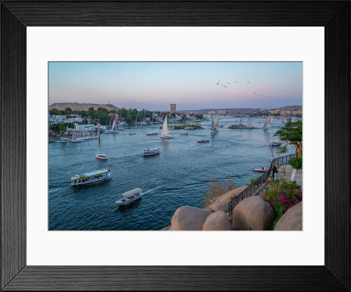 Framed Print : View of fellucas on the Nile river from Feryal Garden at dusk, Aswan, Nubia, Egypt, North Africa, Africa Framed Print : View of fellucas on the Nile river from Feryal Garden at dusk, Aswan, Nubia, Egypt, North Africa, Africa