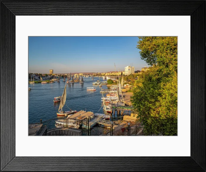 Framed Print : View of fellucas on the Nile river from Feryal Garden during golden hour, Aswan, Nubia, Egypt, North Africa, Africa Framed Print : View of fellucas on the Nile river from Feryal Garden during golden hour, Aswan, Nubia, Egypt, North Africa, Africa