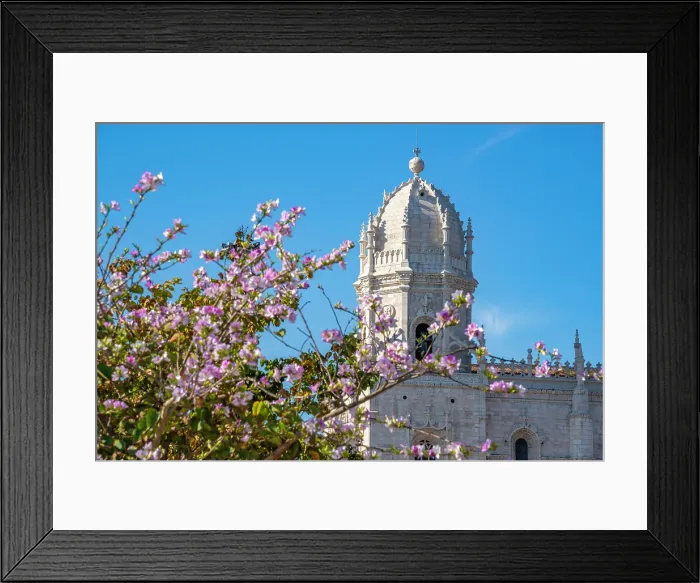 Framed Print : View of Jerónimos Monastery (Monastery of the Hieronymites) and spring blossom in Empire Square Garden on a sunny day, Lisbon, Portugal, Europe Framed Print : View of Jerónimos Monastery (Monastery of the Hieronymites) and spring blossom in Empire Square Garden on a sunny day, Lisbon, Portugal, Europe