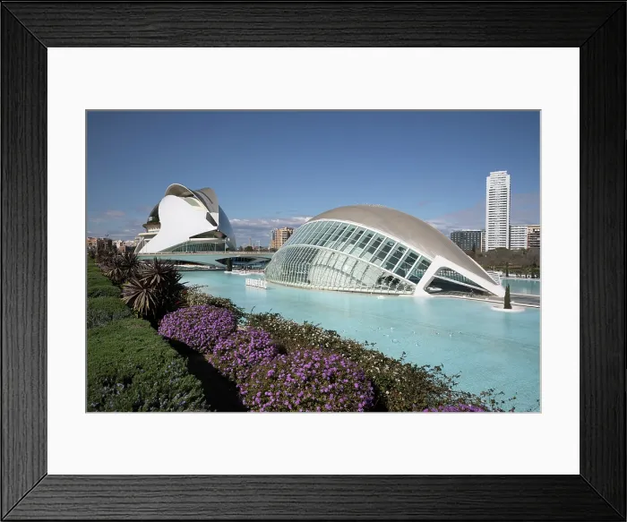 Framed Print : City of Arts and Science, Valencia, Spain, Europe Framed Print : City of Arts and Science, Valencia, Spain, Europe