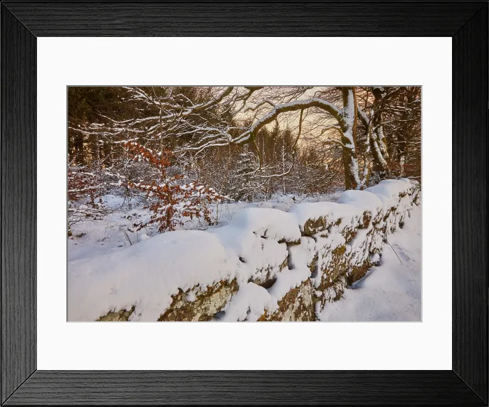 Framed Print : A snowy winter woodland scene, near Princetown, in the heart of Dartmoor National Park, Devon, Great Britain Framed Print : A snowy winter woodland scene, near Princetown, in the heart of Dartmoor National Park, Devon, Great Britain