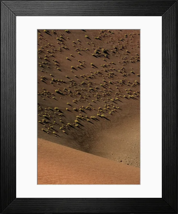 Framed Print : Volcanic landscape with small plants in the Timanfaya national park in Lanzarote in the Canary Islands, Spain Framed Print : Volcanic landscape with small plants in the Timanfaya national park in Lanzarote in the Canary Islands, Spain