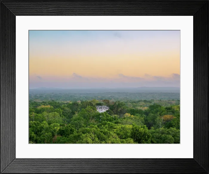 Framed Print : View towards Structure VII at dawn, Calakmul Archaeological Site, Campeche State, Mexico Framed Print : View towards Structure VII at dawn, Calakmul Archaeological Site, Campeche State, Mexico
