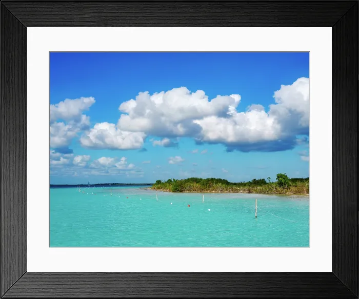 Framed Print : Mangrove at the Bacalar Lagoon, Bacalar, Quintana Roo State, Mexico Framed Print : Mangrove at the Bacalar Lagoon, Bacalar, Quintana Roo State, Mexico