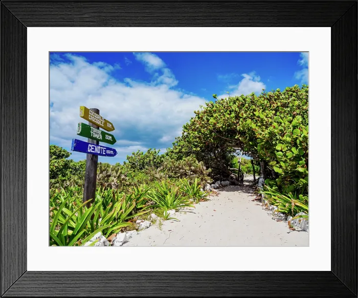 Framed Print : Trail at Punta Sur, Cozumel Island, Quintana Roo State, Mexico Framed Print : Trail at Punta Sur, Cozumel Island, Quintana Roo State, Mexico