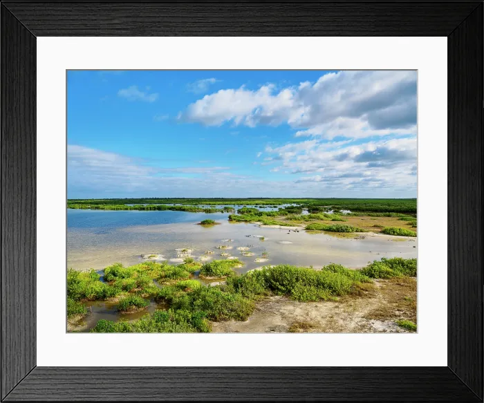 Framed Print : Lagoon at Punta Sur, Cozumel Island, Quintana Roo State, Mexico