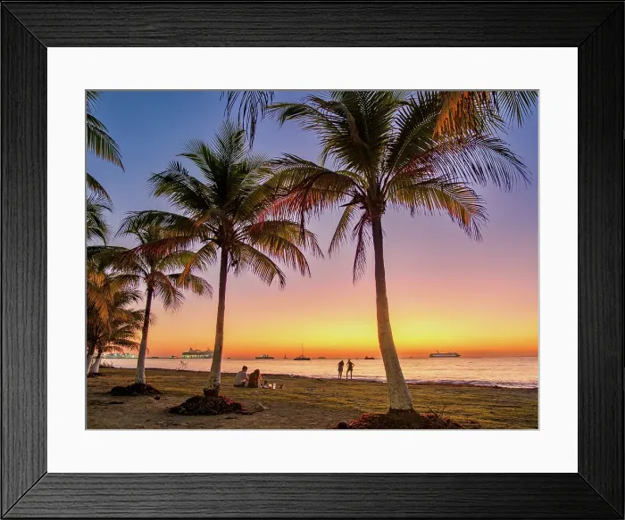 Framed Print : Palm Trees at the waterfront of San Miguel de Cozumel, Cozumel Island, Quintana Roo State, Mexico Framed Print : Palm Trees at the waterfront of San Miguel de Cozumel, Cozumel Island, Quintana Roo State, Mexico