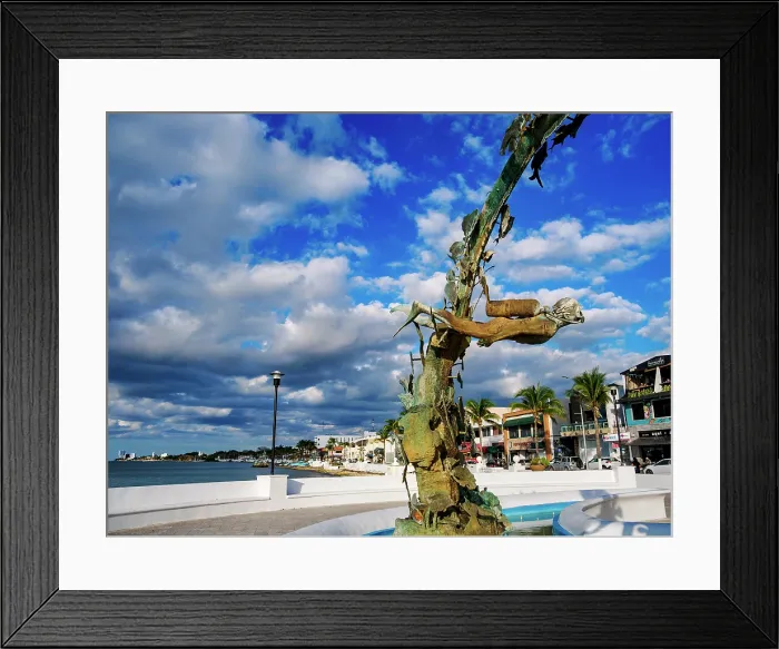Framed Print : Coral Reefs Monument at the waterfront of San Miguel de Cozumel, Cozumel Island, Quintana Roo State, Mexico Framed Print : Coral Reefs Monument at the waterfront of San Miguel de Cozumel, Cozumel Island, Quintana Roo State, Mexico