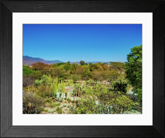 Framed Print : Oaxaca Ethnobotanical Garden by The Church and Convent of Santo Domingo de Guzman, Oaxaca de Juarez, Oaxaca State, Mexico Framed Print : Oaxaca Ethnobotanical Garden by The Church and Convent of Santo Domingo de Guzman, Oaxaca de Juarez, Oaxaca State, Mexico