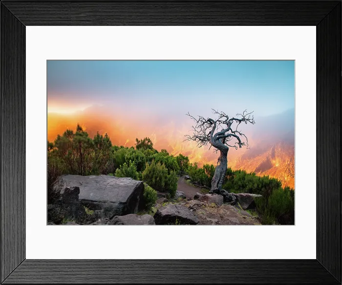 Framed Print : amazing sunrise in the mountains between Pico Do Arieiro and Pico Ruivo, Madeira, Portugal Framed Print : amazing sunrise in the mountains between Pico Do Arieiro and Pico Ruivo, Madeira, Portugal