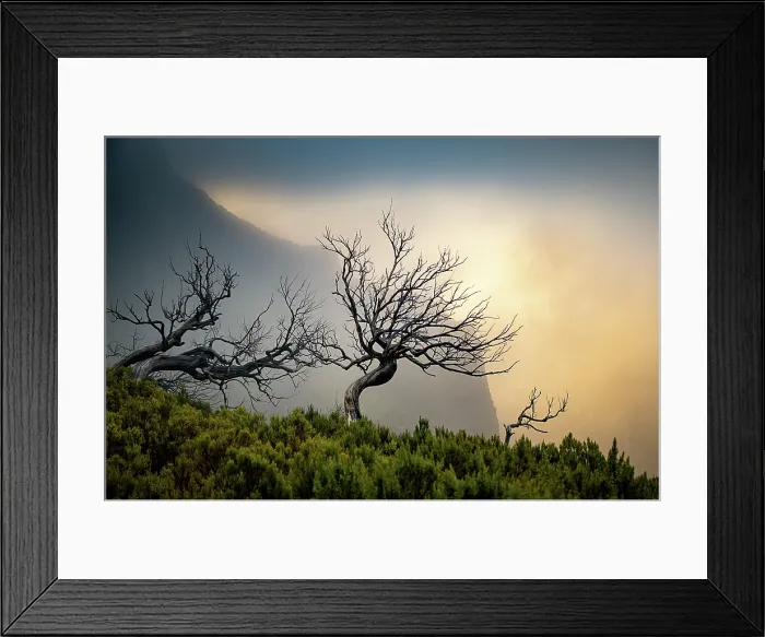 Framed Print : amazing sunrise in the mountains between Pico Do Arieiro and Pico Ruivo, Madeira, Portugal Framed Print : amazing sunrise in the mountains between Pico Do Arieiro and Pico Ruivo, Madeira, Portugal