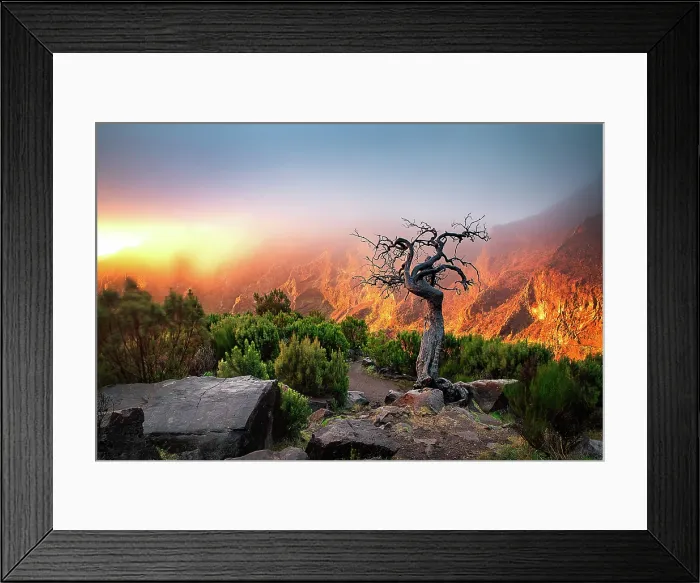 Framed Print : amazing sunrise in the mountains between Pico Do Arieiro and Pico Ruivo, Madeira, Portugal Framed Print : amazing sunrise in the mountains between Pico Do Arieiro and Pico Ruivo, Madeira, Portugal