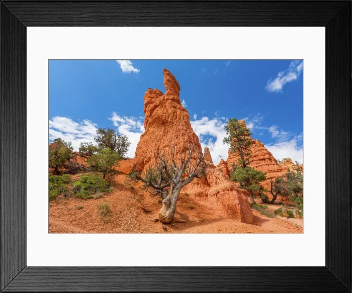 Framed Print : Sandstone rock formation in the Dixie National Forest, Utah, USA. The National Forest was created in 1906 Framed Print : Sandstone rock formation in the Dixie National Forest, Utah, USA. The National Forest was created in 1906