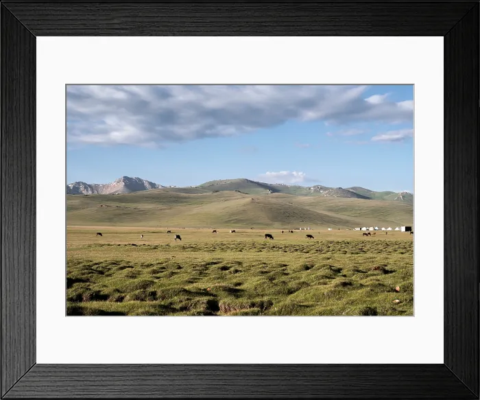 Framed Print : Expansive grasslands of Song Kol with majestic mountains and grazing livestock under a clear blue sky Framed Print : Expansive grasslands of Song Kol with majestic mountains and grazing livestock under a clear blue sky