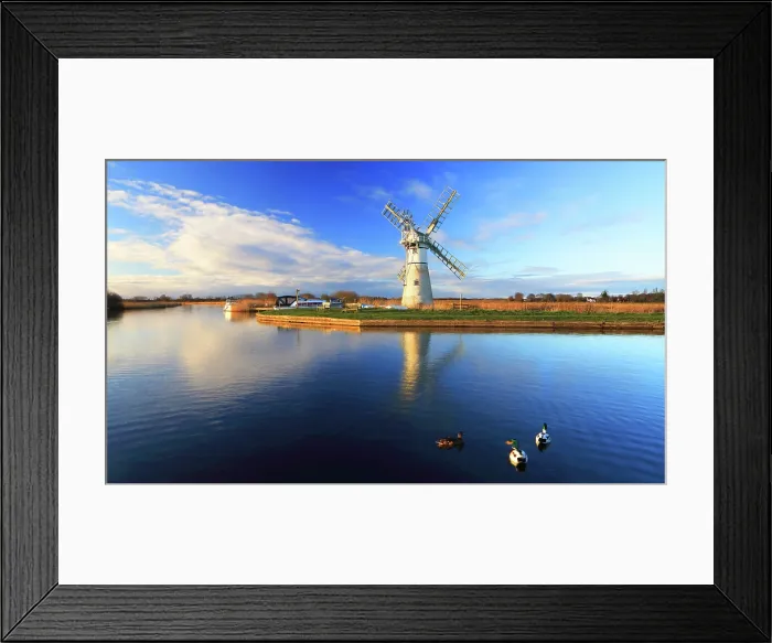 Framed Print : Evening light, Thurne Mill and river Thurne, Norfolk Broads, Norfolk Framed Print : Evening light, Thurne Mill and river Thurne, Norfolk Broads, Norfolk