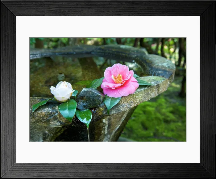 Framed Print : Fountain at Honen-in Temple, Sakyo-ku, Kyoto, Japan