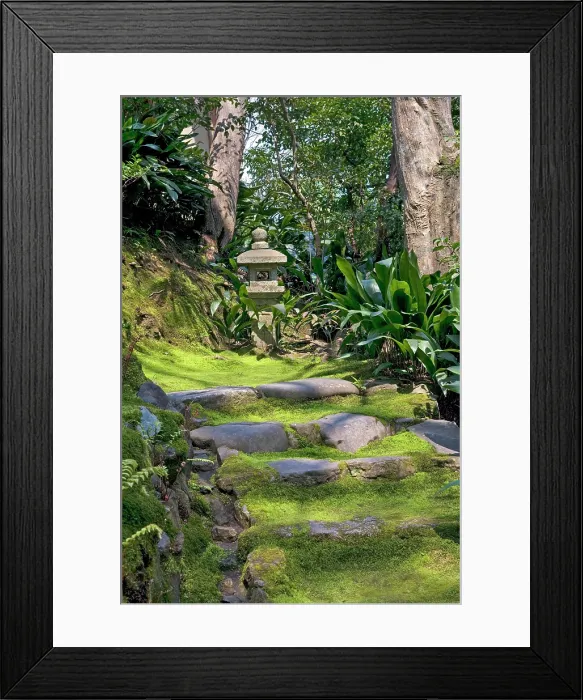 Framed Print : Mossy stone staircase at Honen-in Temple, Sakyo-ku, Kyoto, Japan Framed Print : Mossy stone staircase at Honen-in Temple, Sakyo-ku, Kyoto, Japan