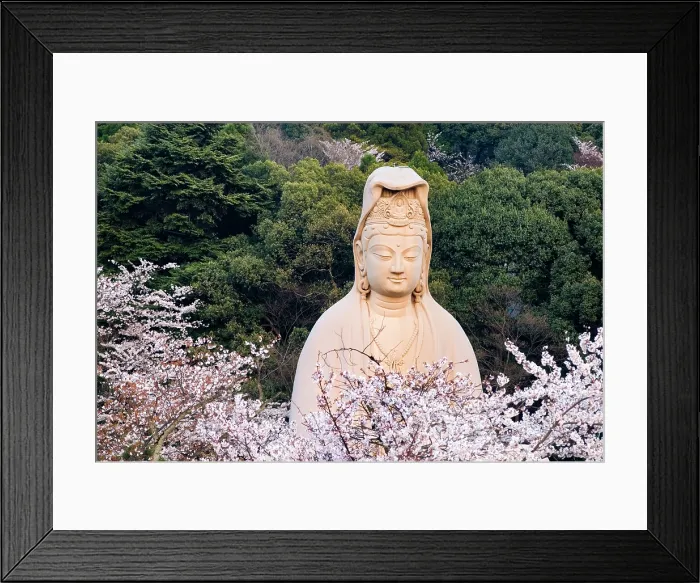Framed Print : Ryozen Kannen Temple, Higashiyama district, Kyoto, Japan