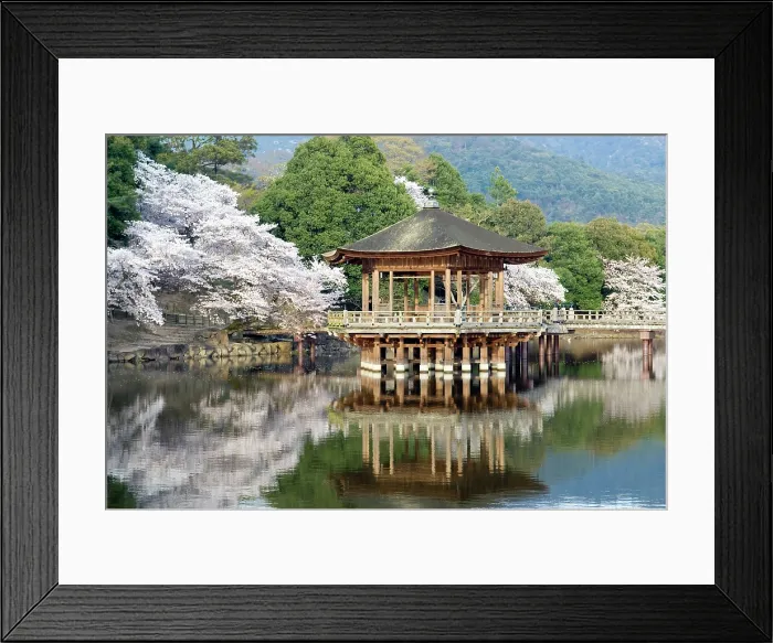 Framed Print : Sagi-ike Pond and Ukimido Pavilion, Cherry Blossoms, Nara, Japan