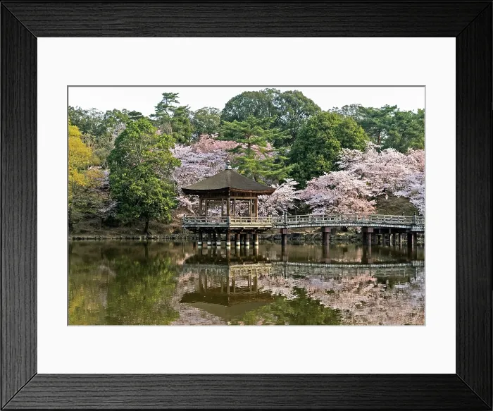Framed Print : Sagi-ike Pond and Ukimido Pavilion, Cherry Blossoms, Nara, Japan Framed Print : Sagi-ike Pond and Ukimido Pavilion, Cherry Blossoms, Nara, Japan